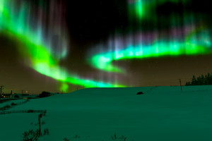 大数据时代，F1电竞的“隐形翅膀”是如何飞翔的