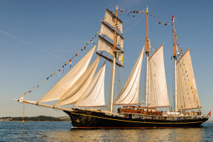 粉丝狂欢!洲际赛落幕,冠军队伍的庆功宴有多嗨 粉丝狂欢!洲际赛落幕,冠军队伍的庆功宴有多嗨